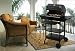 Dimplex EBQ-2007 / COV-BPC-2007 - EBQ Electric Grill with Optional Cover and Rotiserie