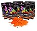 Holi Color Powder Orange 10 Pack of 70 Grams Each