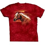 The Mountain Men's Radiant Dream Short Sleeve Tee