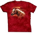 The Mountain Men's Radiant Dream Short Sleeve Tee
