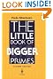 The Little Book of Bigger Primes