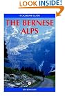 The Bernese Alps...