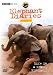 Elephant Diaries - Series 2 [DVD]