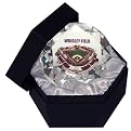 Wrigley Field Paperweight