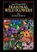 Search : Seasonal Wild Flowers of the Eastern Forests