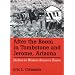 After The Boom In Tombstone And Jerome, Arizona: Decline In Western Resource Towns (Shepperson Series in History Humanities)