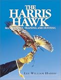 The Harris Hawk: Management, Training and Hunting