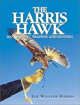 The Harris Hawk: Management, Training and Hunting