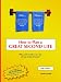 Book How to Plan a Great Second Life [LARGE PRINT]