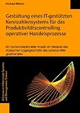Gestaltung eines IT-gestützten Kennzahlensystems für das Produktivitätscontrolling operativer Handelsprozesse - Ein fachkonzeptioneller Ansatz am Beispiel ... Lagergeschäfts des Lebensmittelgroßhandels
