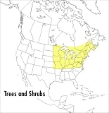 A Field Guide to Trees and Shrubs: Northeastern and north-central United States and southeastern and south-centralCanada (Peterson Field Guides)