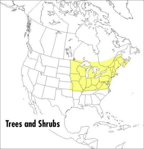 A Field Guide to Trees and Shrubs: Northeastern and north-central United States and southeastern and south-centralCanada (Peterson Field Guides (R)) under General in The Books Store