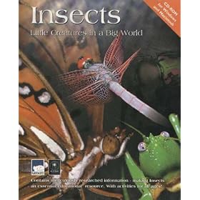 Insects