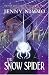The Snow Spider (Magician Trilogy)