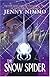 The Snow Spider (Magician Trilogy)