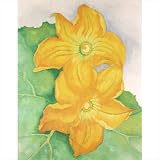 Squash Blossoms by Georgia O'Keeffe,18 in. x 18 in.