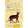 Cats of the World (The Natural World Playing Card Collection) by Tomas Markevicius
