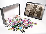 Photo Jigsaw Puzzle of Mule transports Kerosene in Iraq from Mary Evans
