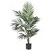 Real Looking 5' Kentia Palm Silk Tree Green Colors - Silk Tree
