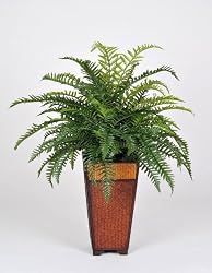 Artificial Boston Fern in Rattan