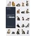 L'Encyclop�die mondiale des chats