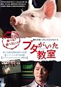 ブタがいた教室 (通常版) [DVD]