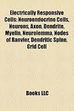 Electrically Responsive Cells: Neuroendocrine Cells, Neurons, Axon, Dendrite, Myelin, Neurolemma, Nodes of Ranvier, Dendritic Spine, Grid Cell