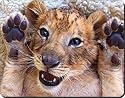 CUTE LION CUB GIFTS Mouse Mat