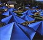 The Umbrellas, The: Japan/USA 1984-91 (Collector's Editions)
