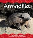 Armadillos (Desert Animals)