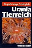 Produkt-Bild: Urania Tierreich, 7 Bde., Wirbellose Tiere