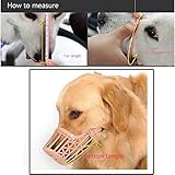 HuaYang Plastic Adjustable Pet Dog Basket Muzzle Protection Mask Mouth Mesh Cage #3