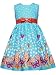 Rare Editions Girls 7-16 Dots Butterfly Border Dress, Turquoise/Orange, 16