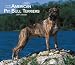 For the Love of American Pit Bull Terriers 2007 Deluxe Calendar