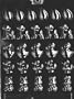 FIVE PIECE ASSORTMENT Easter Candy Mold