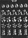 FIVE PIECE ASSORTMENT Easter Candy Mold