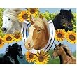 Gorgeous Horses 300 pc Jigsaw Puzzle by Ravensburger