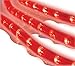 Celebrations Rope Lights Red 18'