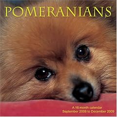Pomeranians 2009 Wall Calendar