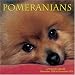   - Pomeranians 2009 Wall Calendar