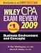 Wiley CPA Exam Review 2009: Business Environment and Concepts (Wiley Cpa Examination Review Business Enrivonment and Concepts)