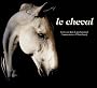 Le cheval : Essentiellement