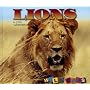 Lions (Wild Ones)