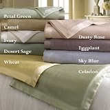 Empress Silk Plush Blanket
