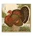 Thanksgiving Dinner Napkins Pak of 20 Winterthur Turkey