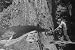 The Redwood Forest in 1940s Northern California [DVD]: Redwoods Logging Industry Promotional Film with Video of the Wood Industries & Lumber Mills Chopping Down the Giant Redwood Trees