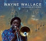 The Nature of the Beat