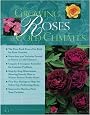 Growing Roses in Cold Climates
