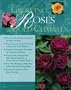 Growing Roses in Cold Climates