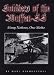 Soldiers of the Waffen-SS: Many Nations, One Motto